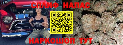 мяу мяу мука Славгород