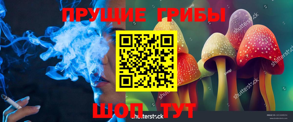 Псилоцибиновые грибы ЛСД Белореченск